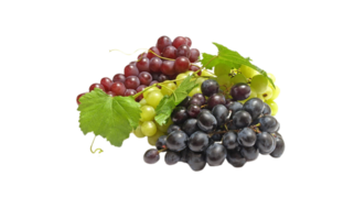 Grapes png transparent background