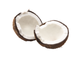 noix de coco png transparent Contexte