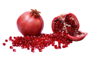 pomegranate png transparent background