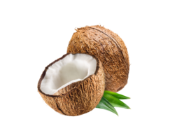 Noce di cocco png trasparente sfondo