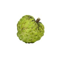 custard apple png transparent background