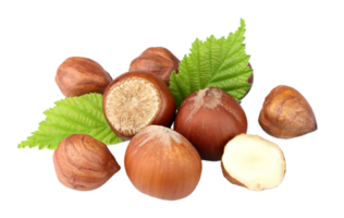 Hazelnut png transparent background