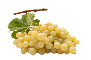 Grapes png transparent background