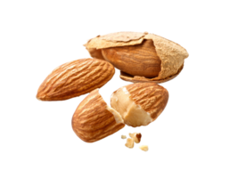 amandes png transparent Contexte