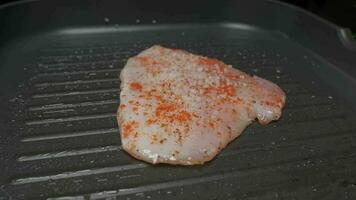 Professional chef salting chicken fillet steak, close up slow motion video