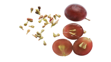 Grapes png transparent background