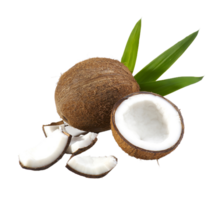 Noce di cocco png trasparente sfondo