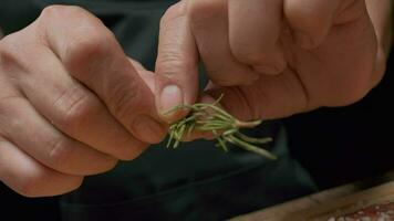 professionnel chef s'applique légumes verts à Viande steak. lent mouvement proche en haut. video