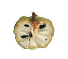 tjock vaniljsås äpple png transparent bakgrund