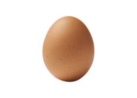 egg png transparent background