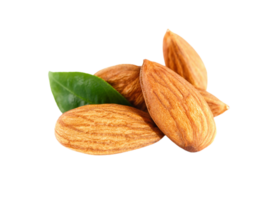 amandes png transparent Contexte