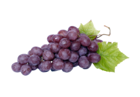 Grapes png transparent background