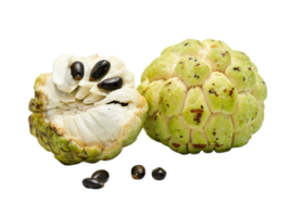 custard apple png transparent background