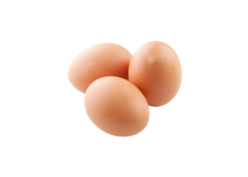 egg png transparent background