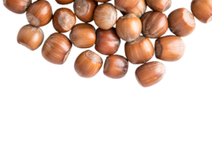 Hazelnut png transparent background