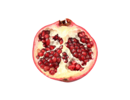 pomegranate png transparent background