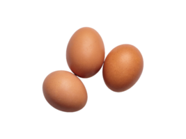 egg png transparent background