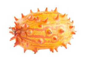 horned melon png transparent background