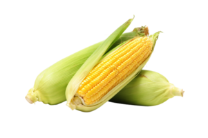 corn png transparent background