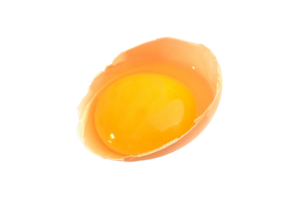 Oeuf png transparent Contexte