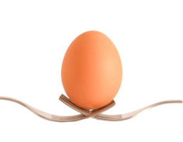 egg png transparent background