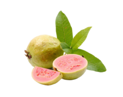 guava png transparent bakgrund