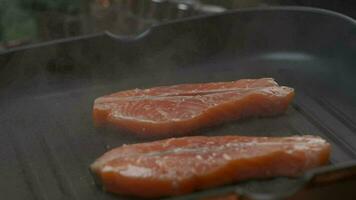 schließen oben Fachmann Koch Grillen rot Fisch Filet Steak. schleppend Bewegung video
