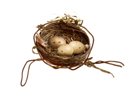 egg png transparent background