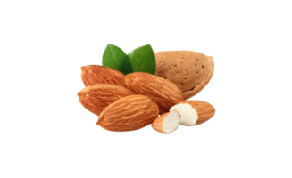 amandes png transparent Contexte