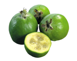 Feijoa png transparent Hintergrund