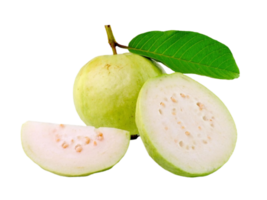 guava png transparent bakgrund