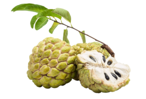 custard apple png transparent background