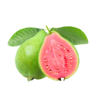 Guava png transparent background