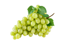 uvas png transparente fundo