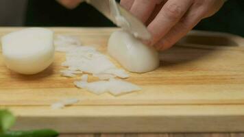 Professional chef prepares and cuts white onion. Close up slow motion video