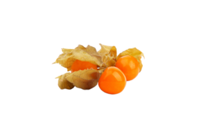 physalis PNG transparant achtergrond