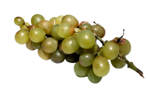 Grapes png transparent background