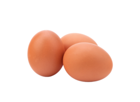 egg png transparent background