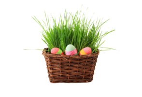 egg png transparent background