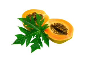 Papaya png transparent background