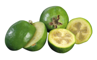 Feijoa png transparent background