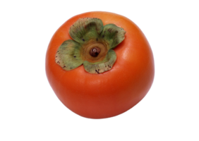 fuyu persimmon png transparent background