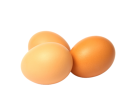 egg png transparent background