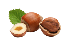 Noisette png transparent Contexte