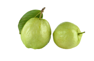 Guava png transparent background