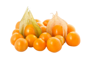 physalis png transparent bakgrund