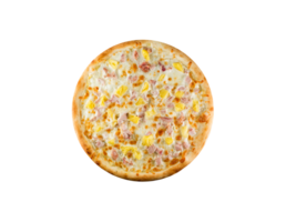 pizza png transparent bakgrund