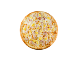 pizza png transparent background