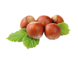 Hazelnut png transparent background