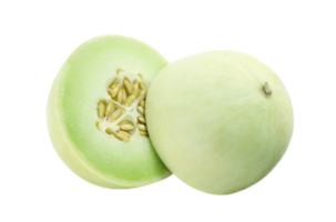 muskmelon png transparent background